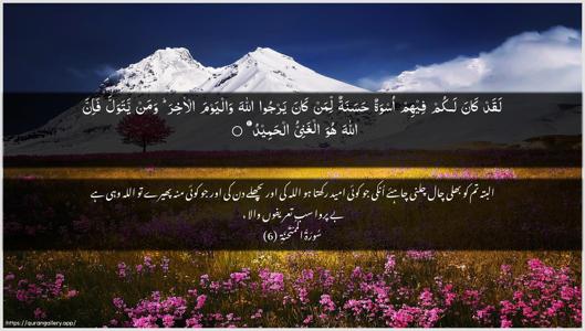 Al-Mumtahana Ayah 6 - Arabic + Urdu wallpaper