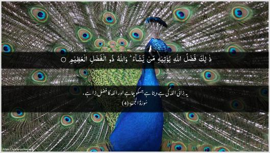 Al-Jumu"a Ayah 4 - Arabic + Urdu wallpaper