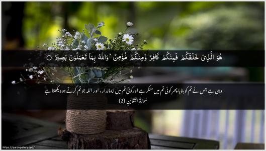 At-Taghaabun Ayah 2 - Arabic + Urdu wallpaper