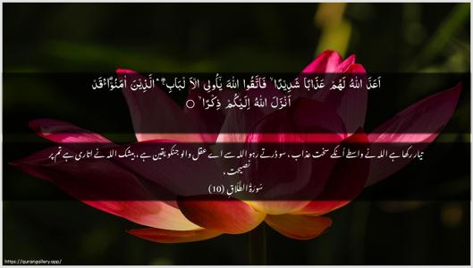 At-Talaaq Ayah 10 - Arabic + Urdu wallpaper