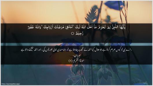 At-Tahrim Ayah 1 - Arabic + Urdu wallpaper