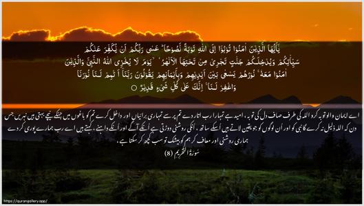 At-Tahrim Ayah 8 - Arabic + Urdu wallpaper