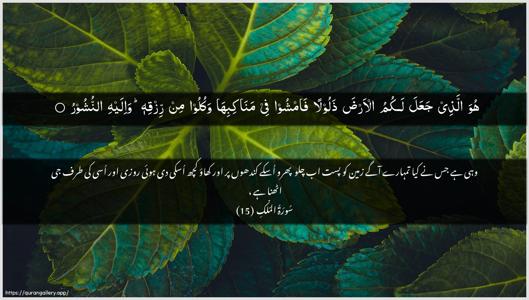 Al-Mulk Ayah 15 - Arabic + Urdu wallpaper