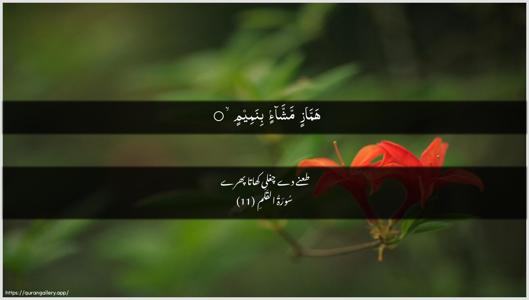 Al-Qalam Ayah 11 - Arabic + Urdu wallpaper