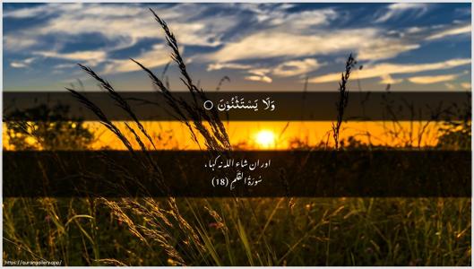 Al-Qalam Ayah 18 - Arabic + Urdu wallpaper