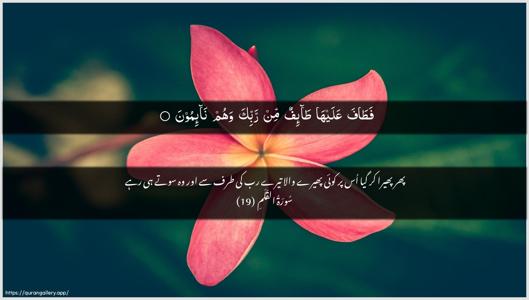 Al-Qalam Ayah 19 - Arabic + Urdu wallpaper