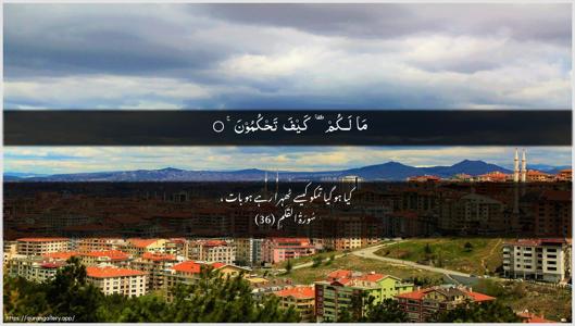 Al-Qalam Ayah 36 - Arabic + Urdu wallpaper