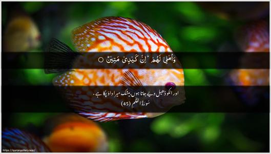 Al-Qalam Ayah 45 - Arabic + Urdu wallpaper