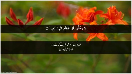 Al-Haaqqa Ayah 34 - Arabic + Urdu wallpaper