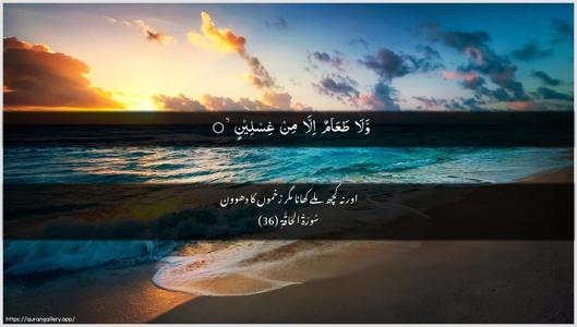 Al-Haaqqa Ayah 36 - Arabic + Urdu wallpaper