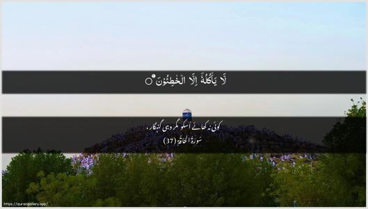 Al-Haaqqa Ayah 37 - Arabic + Urdu wallpaper
