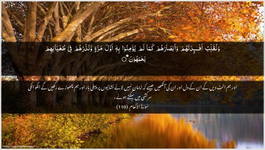 Al-An"aam Ayah 110 - Arabic + Urdu wallpaper