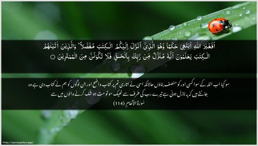Al-An"aam Ayah 114 - Arabic + Urdu wallpaper