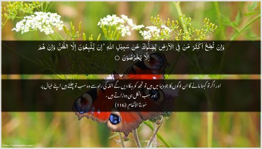 Al-An"aam Ayah 116 - Arabic + Urdu wallpaper