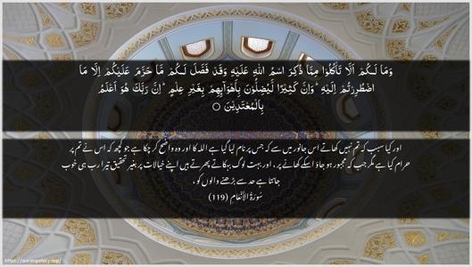 Al-An"aam Ayah 119 - Arabic + Urdu wallpaper