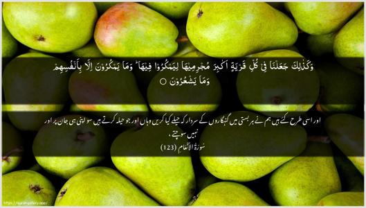 Al-An"aam Ayah 123 - Arabic + Urdu wallpaper