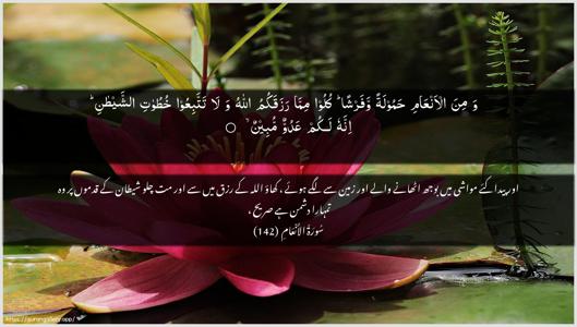 Al-An"aam Ayah 142 - Arabic + Urdu wallpaper