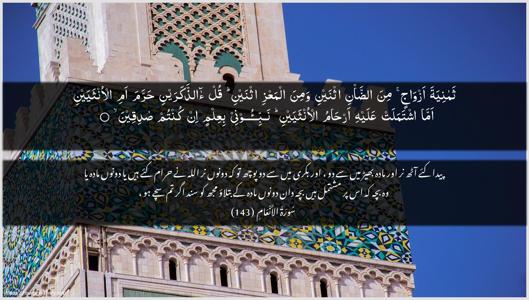Al-An"aam Ayah 143 - Arabic + Urdu wallpaper