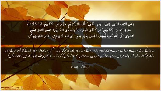 Al-An"aam Ayah 144 - Arabic + Urdu wallpaper