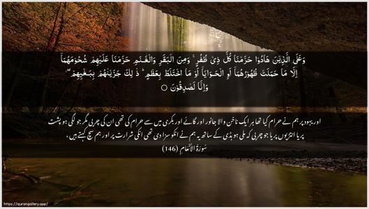Al-An"aam Ayah 146 - Arabic + Urdu wallpaper