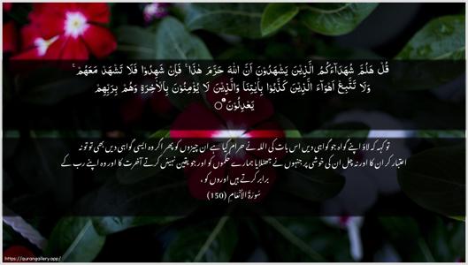 Al-An"aam Ayah 150 - Arabic + Urdu wallpaper