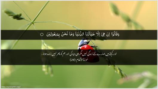 Al-An"aam Ayah 29 - Arabic + Urdu wallpaper