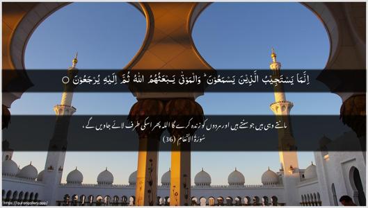 Al-An"aam Ayah 36 - Arabic + Urdu wallpaper