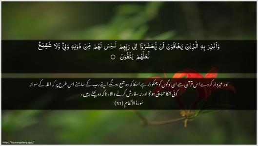 Al-An"aam Ayah 51 - Arabic + Urdu wallpaper