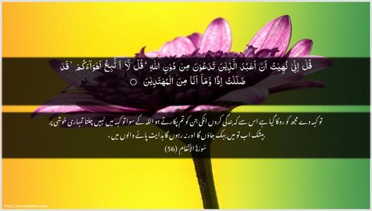 Al-An"aam Ayah 56 - Arabic + Urdu wallpaper