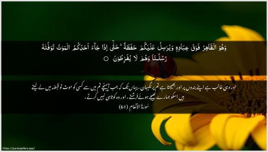 Al-An"aam Ayah 61 - Arabic + Urdu wallpaper