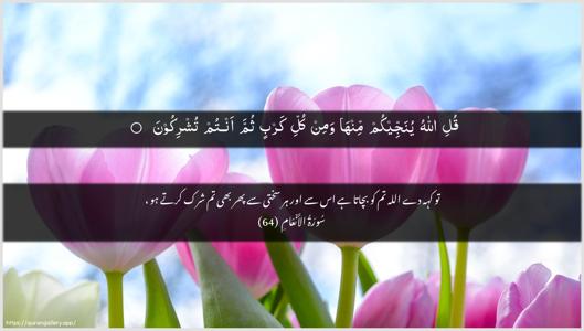 Al-An"aam Ayah 64 - Arabic + Urdu wallpaper
