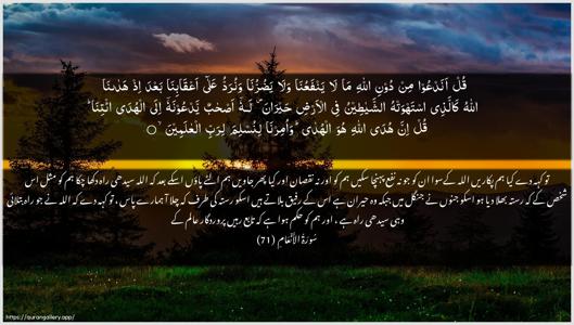 Al-An"aam Ayah 71 - Arabic + Urdu wallpaper