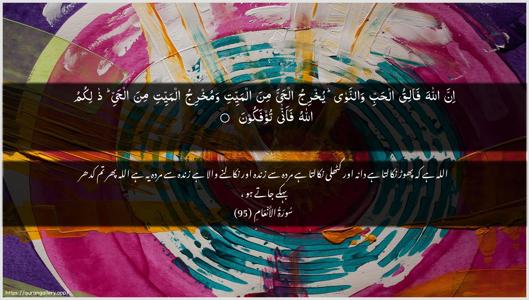 Al-An"aam Ayah 95 - Arabic + Urdu wallpaper