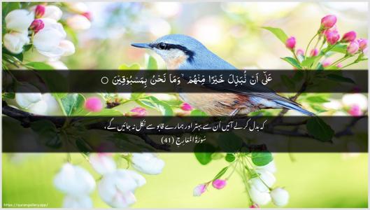Al-Ma"aarij Ayah 41 - Arabic + Urdu wallpaper