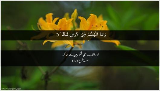 Nooh Ayah 17 - Arabic + Urdu wallpaper