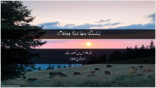 Nooh Ayah 20 - Arabic + Urdu wallpaper