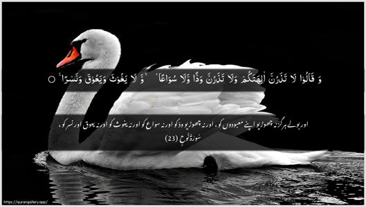 Nooh Ayah 23 - Arabic + Urdu wallpaper