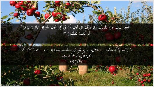 Nooh Ayah 4 - Arabic + Urdu wallpaper