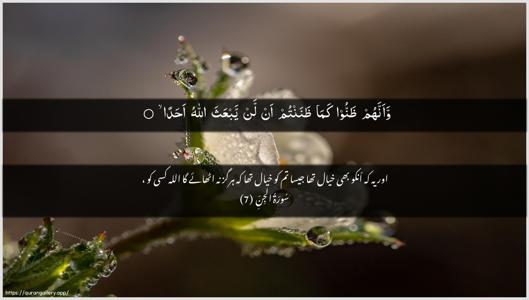 Al-Jinn Ayah 7 - Arabic + Urdu wallpaper