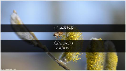 Al-Muddaththir Ayah 36 - Arabic + Urdu wallpaper