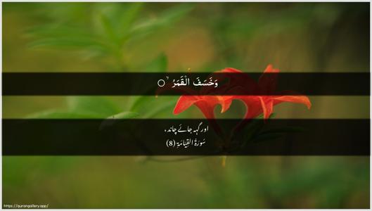 Al-Qiyaama Ayah 8 - Arabic + Urdu wallpaper