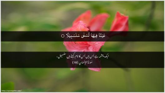 Al-Insaan Ayah 18 - Arabic + Urdu wallpaper
