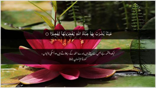 Al-Insaan Ayah 6 - Arabic + Urdu wallpaper