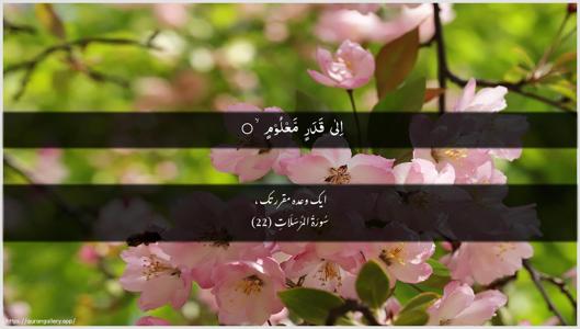 Al-Mursalaat Ayah 22 - Arabic + Urdu wallpaper