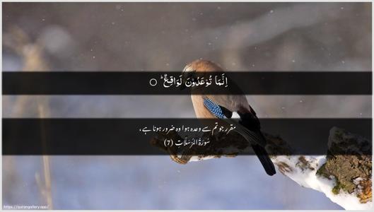 Al-Mursalaat Ayah 7 - Arabic + Urdu wallpaper