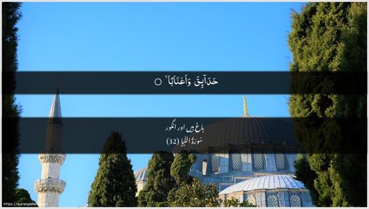 An-Naba Ayah 32 - Arabic + Urdu wallpaper
