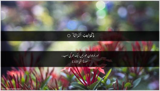 An-Naba Ayah 33 - Arabic + Urdu wallpaper