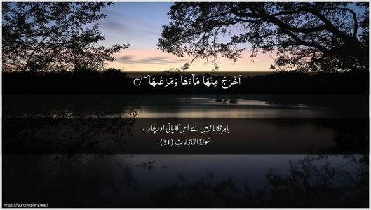 An-Naazi"aat Ayah 31 - Arabic + Urdu wallpaper