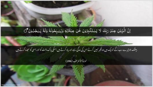 Al-A"raaf Ayah 206 - Arabic + Urdu wallpaper