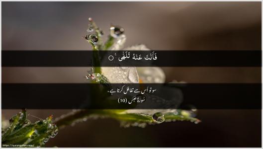 Abasa Ayah 10 - Arabic + Urdu wallpaper
